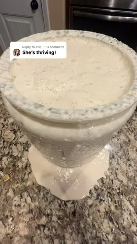Replying to @Erin ✨ big winnie overflowed. She was super active! #swiftie #taylorswift #taylornation #swifttok #sourdough #sourdoughstarter #sourdoughtok #fypage #fyp 