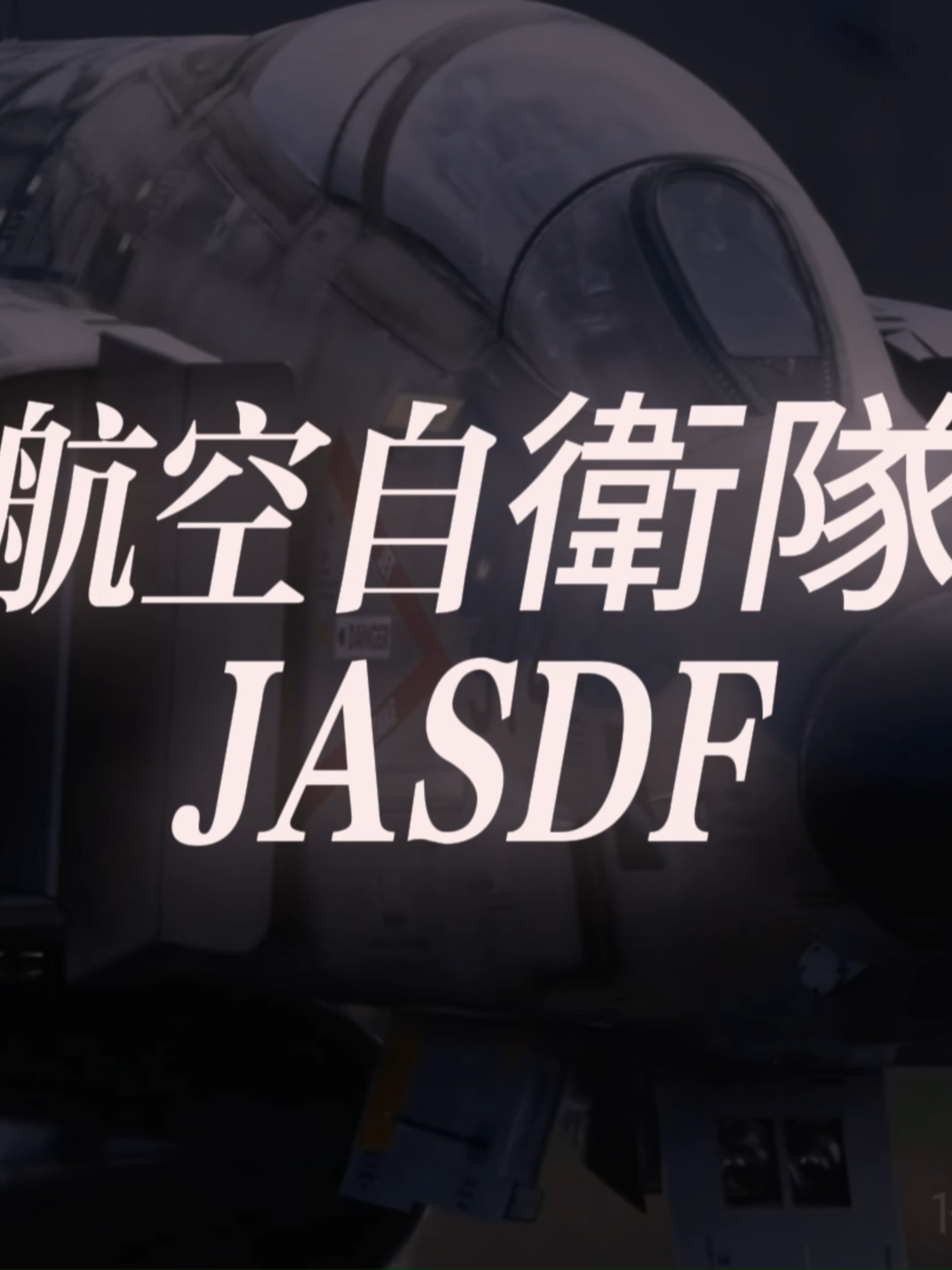 Japanese Air Self Defence Force F-4 Phantoms edit #fighterjet #aviation #military #japan #usaf #airforce #plane