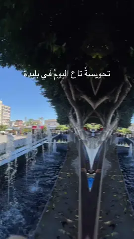 #blida09_tiktok_algérie❤️🇩🇿 alger #الشعب_الصيني_ماله_حل😂😂 #جولة25مليونية #tourism #