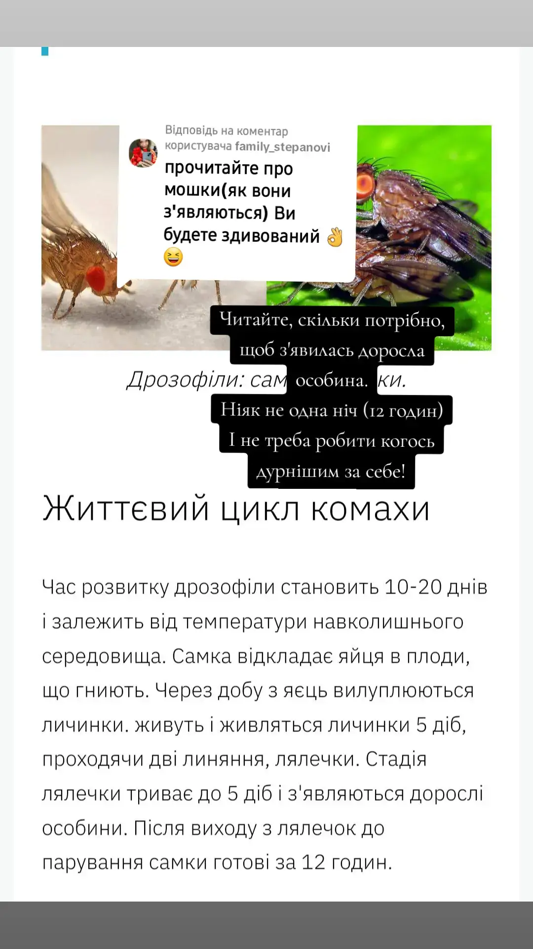 Відповідь користувачу @family_stepanovi  Надіюсь цього досить? Чи ще щось вигадаєте, щоб на моєму фоні вважати себе розумнішою? 