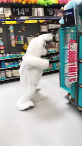 🐰Bunny Crashing out.💨🤣@JusOnSomeShit #fyp  #funny #fypシ゚viral   #follow #walmart #bunny #ending  