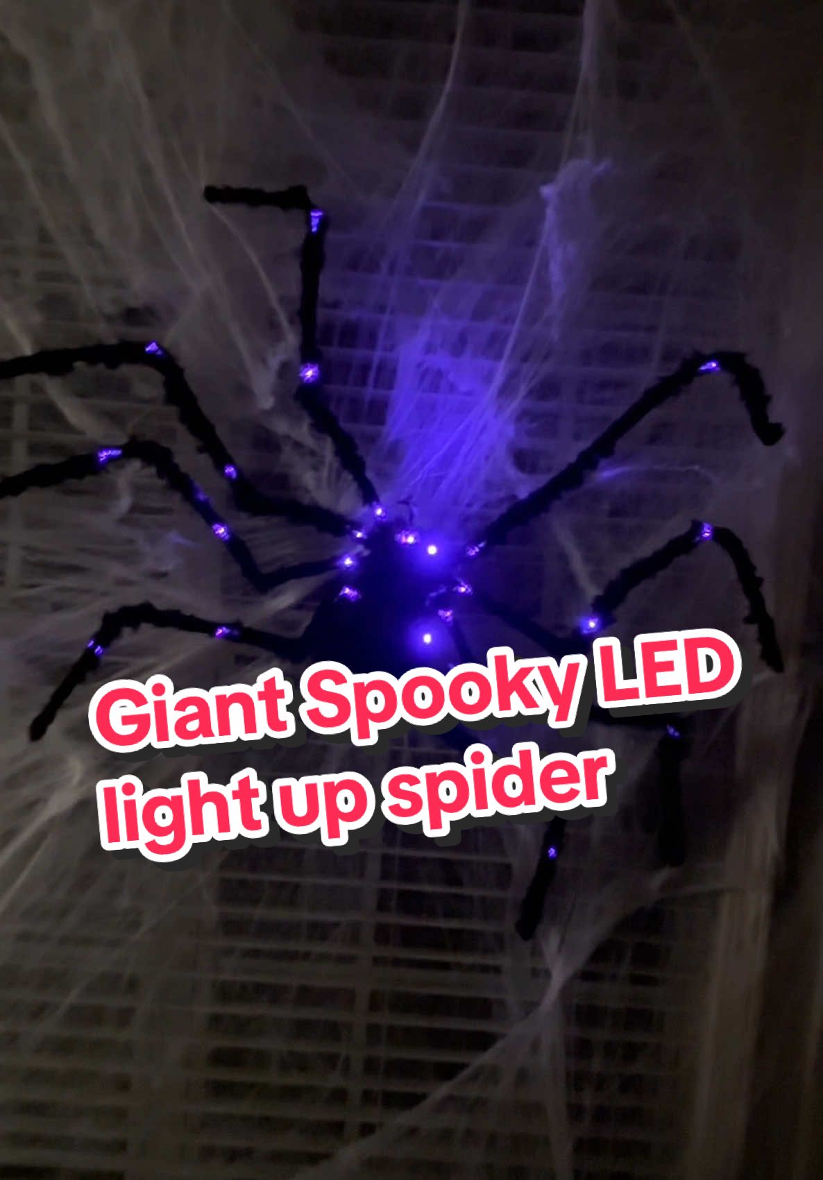 Get it now for Halloween🎃 This giant LED spider is perfect for my Halloween party #halloweenspider #halloweendecor #halloweenishere #halloweenathome #spookyseason #spider @BXYY #CapCut