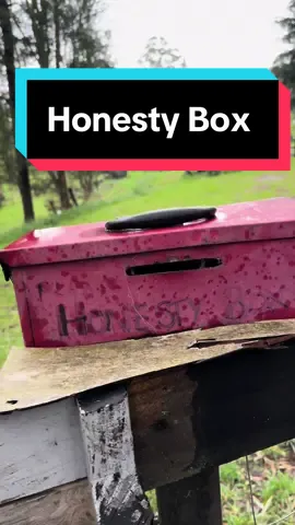 Honesty Box #foryou #foryoupage #australia #pakistan #Vlog #fypシ #pakistan #australia #india 