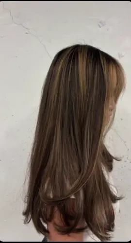 honey blonde highlights 🤩🍯🍯🤭 #cosmotology #hairtok #beautyschool #hairtransformation #haircolor #hairstyist #blondehighlights #blondehighlightsondarkhair 