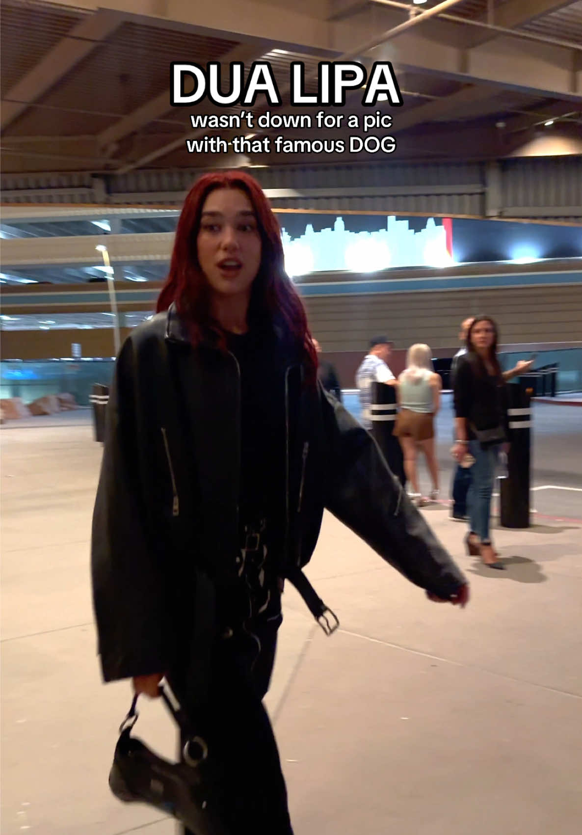 @Dua Lipa said NO to snappin’ a shot with that popular dog! 🐶Thoughts? #dualipa #dog #doglover 