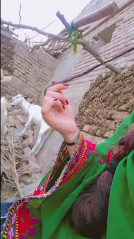haye💗😍#sindhisong #sindhistatus #foryou #tiktokviral #tiktokviral @Eman shehzadi @ر م ش ا 🍫 