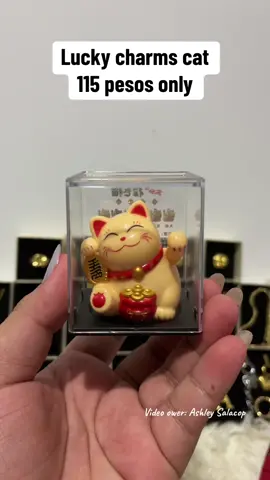 Lucky charm cat#ashleysalacop #fyp #fyppppppppppppppppppppppp #lucky #cat #budolfinds #affiliatemarketing #ashleysalacop 