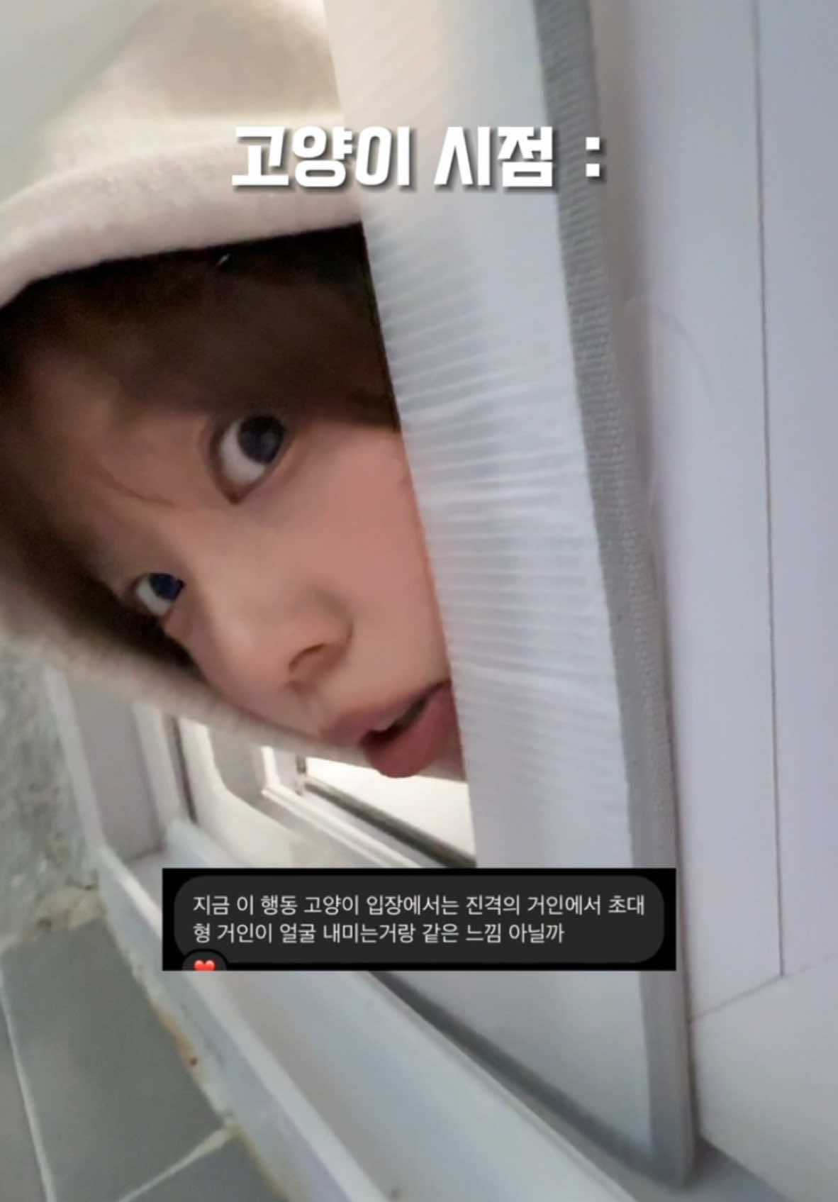 고양이가 날 피하는 이유