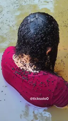 # girl was swimming in the sea and was covered with sea animals #like #ticks #ticktock #capcut #funny #foryou #ticksremoval #fypシ゚viral 