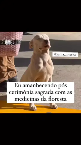 Comente aqui ‘’❤️’’ para fortalecer a página ⤵️ Siga ⤵️ ➡️ @xama_interior ➡️ @xama_interior ➡️ @xama_interior  ✅ Agende agora seu Mapa Xamânico clicando no 🔹 LINK AZUL DA BIO! 🔹 #xamanismobrasil  #shamanismo #shamanichealing #xamanismo #santodaime #xamanismoancestral #medicinasancestrales #medicinasagrada #medicinasdafloresta #ancestralidade #mitakuyeoyasin 