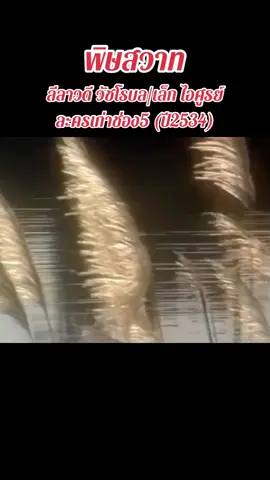 #คิดถึงเมื่อวันวาน #พิษสวาท #ละครเก่า #ช่อง5 #สโรชินี #อุบล #ลีลาวดีวัชโรบล 