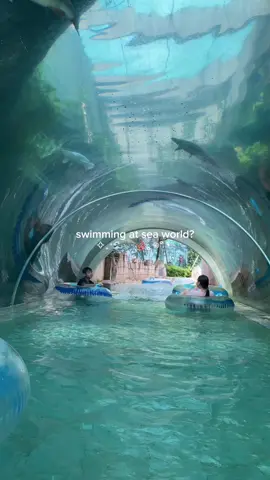 Wow waterpark Singapore unik banget! Siapa yang mau kesini juga? 🐠🤿 🏊‍♀️ 🌴 #thingstodosg #placestogosingapore #singaporeplace #sentosa #travelsg #adventurecove #funactivity #viralplace #jeshatraveldiary #fyp 