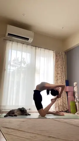#yoga #yogagirl #yogapose #yogapractice #yogagirlsoftiktok #yogagirlsdaily