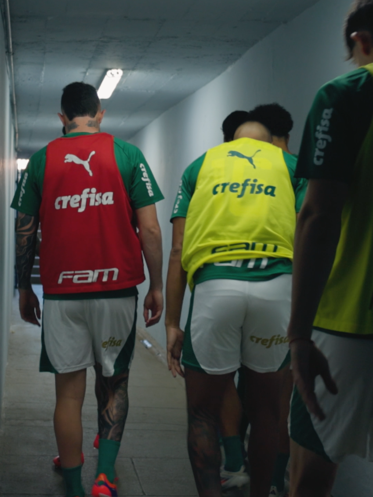 Os bastidores do duelo com o Red Bull Bragantino, no Nabi Abi Chedid, estão disponíveis na TV Palmeiras/FAM! Assista completo #Palmeiras #TikTokEsportes