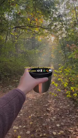 forest walks in autumn. 🍂🤎🕯️☕️🪵 #autumn #october #forest #Hiking #fallvibes🍂 #autumnvibes #autumnaesthetic #cozy #morning #morningvibes #forestwalk #offgrid #goodmorning #ditl #vlogger #Vlog 