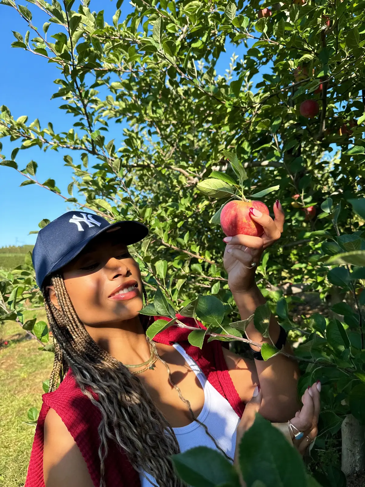 This is your sign to go apple picking, drink apple cider, eat apple cider donuts and take cute pics 🍎 #fallaesthetic #applepicking #appleorchard #falloutfits 