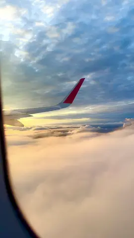 #theirrepressibles  #viral_video  #inthisshirt #cancion  #sad  #subes #avion 