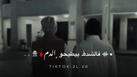السند ولاد العم 🫂💪🏼 #مصمم_عذاب🥷🏻 #محمد_ابو_شعر #محمد_البصيلي #عبدالله_ابوشعر #مصمم_فيديوهات🎬 #رهط_تل_اسبع_اشقيب_عرعره_حوره_بير_هداج❤️ #اكسبلورexplore❥🕊 #عرعره_النقب_رهط_كسيفه_شقيب_تل_السبع #بدوانك_سعدهم_قايم_والنعم_فجميع #explore #المغرب🇲🇦تونس🇹🇳الجزائر🇩🇿 #اكسبلور #ليبيا_طرابلس_مصر_تونس_المغرب_الخليج #ليبيا🇱🇾 #مصر 
