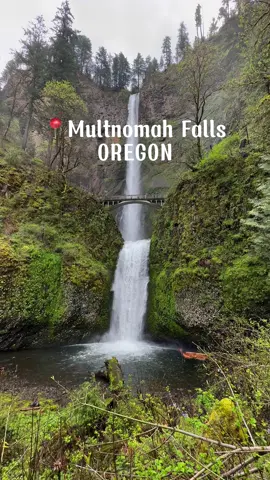 Places to visit in Oregon! Just a quick walk from the parking lot you’ll find the most stunning view of this 15,000 year old waterfall! 💦#CapCut #oregoncheck #portland #thingstodo #waterfall #daytrip #nature #hike #outdoor #beauty #westcoast #travel #visit #todo #explore #friends #bridge #troll #green #freshair #wakeup #whatsgoingon #pnwonderland #pnwadventures #pnwlife @Travel Oregon #creatorsearchinsights 