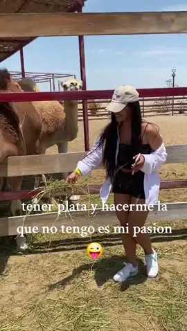 si soy 😅 #foryou #viral #paraty #fyyy #contenido #ica#fyyy#peru🇵🇪 #fyp#fypシ゚#fouryou 