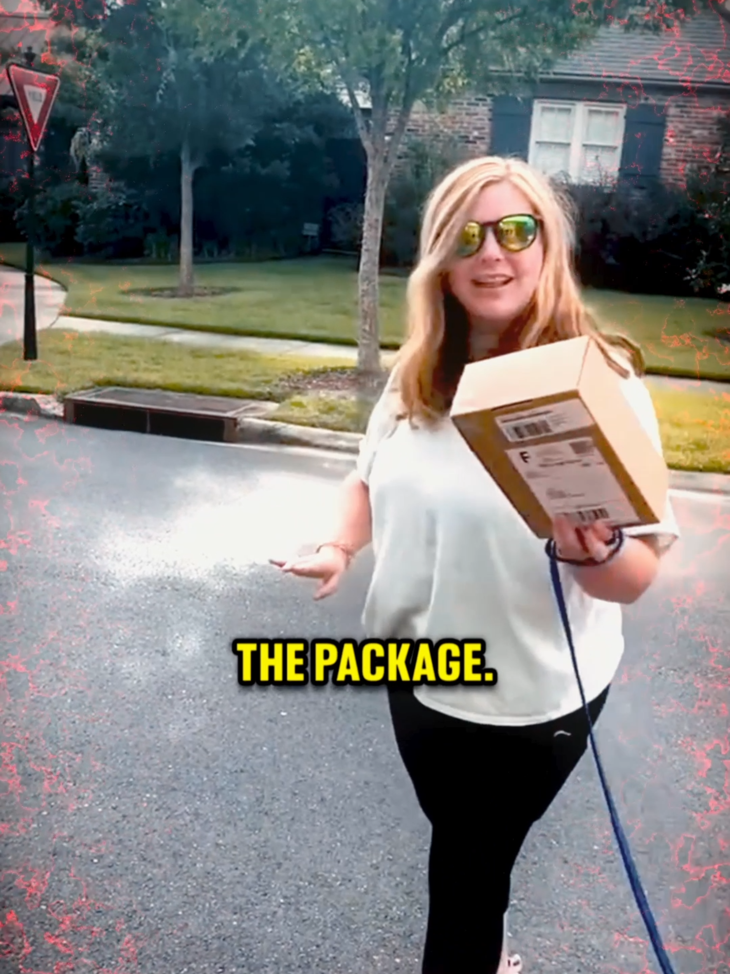 Nosy Neighbor Takes Package #nosyneighbor #neighborsfromhell #karensgoingwild #overreacting #karenalert #fypツ