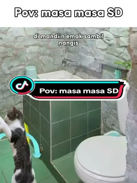 semuanya tinggal kenangan❤️‍🩹 #memekucing #fyp 
