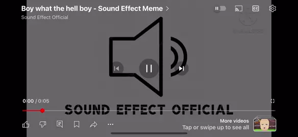 Free audio lol #browhatthehellbro #fyp #fypシ 