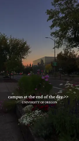 being on campus after your classes and hw are done: 🧘🏼‍♀️🙂‍↕️🫶🏼🦦💆🏼‍♀️🤸🏼‍♀️💖 #uo #oregon #eugene #college #university #campuslife #student #fyp