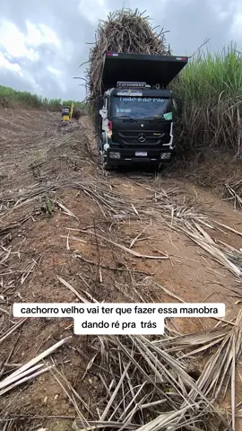 não vai ser muito fácil não#videolongo #viral #caminhao 