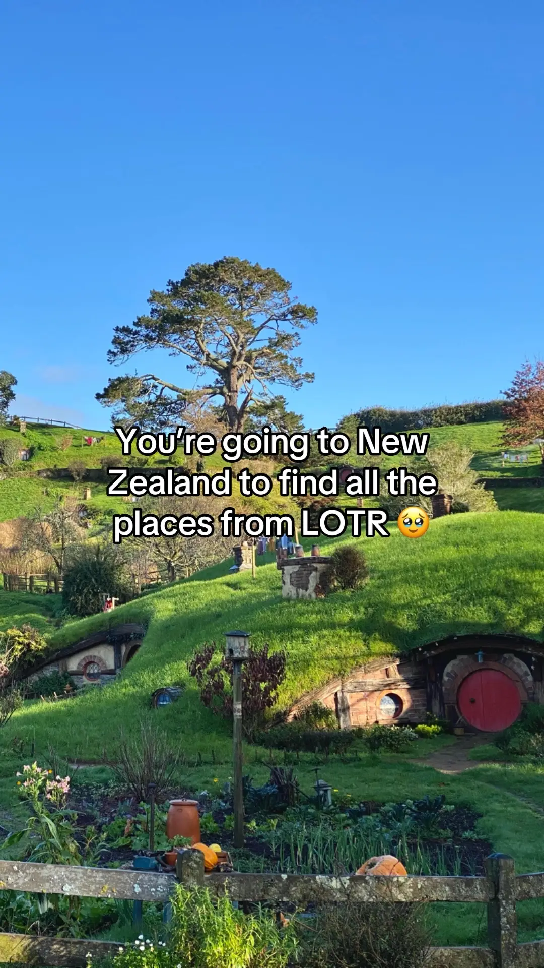 As a lot of you asked me in my precedent tiktoks where was the exact places, I hope this will help 🫶🏼 Most of them are easily accessible!  Some others places are now not available anymore since Covid, like the Pelennor Fields.  #lordoftherings #lordoftheringstiktok #thelordoftherings #thelordoftheringsedit #lordoftheringsedit #lotr #lotrtok #lotredit #lotrtiktok #newzealand #nz #nztiktok #nztravel #newzealandtiktok #newzealandtravel #frodo #gollum #mordor #isengard #movie #movieset #movieplace #leseigneurdesanneaux #gandalf #travel #tongariro #tongarironationalpark #hobbit #hobbits #hobbithouse #hobbiton #hobbitonmovieset #fan #traveltiktok #travelnewzealand #landscape #scenery #tolkien #tolkientok #middleearth #terredumilieu #mtcook #thelonelymountain #edoras #argonath #hike #minastirith #aragorn #legolas #gimli #traveltiktok #travellife #traveltok #travelbucketlist #childhoodmemories #childhooddream #dream #dreamcometrue #queenstown #queenstownnewzealand #glenorchy #lakepukaki #mtcook #mountsunday #mountcooknationalpark 