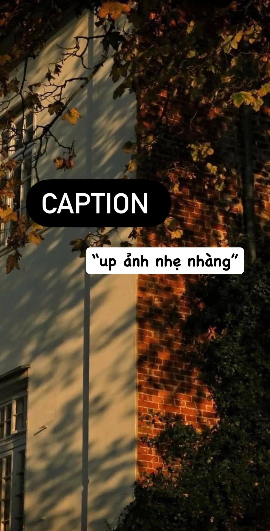 Caption up ảnh nhẹ nhàng siêu hay #caption #tinhyeu #tamtrangbuon #tamtrang #caunoihay #caunoihaymoingay🍀🍀 #xuhuongtiktok #xuhuong #camxuc #captions #cap #xuhuongtiktok 