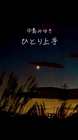 昭和の名曲🌹静かな夜に聴きたい曲🌙 #中島みゆき  #ひとり上手  #ニューミュージック  #懐メロ