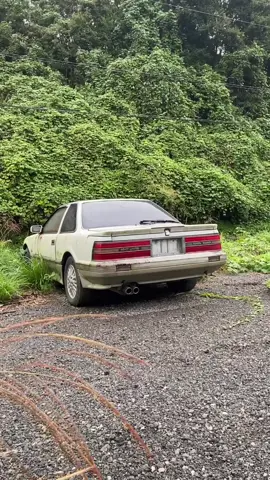 Finding abandoned cars in Japan... 📸 @dieterpey  During my visit in Japan we drove past a small car graveyard. Cars which seemingly have just been parked and abandoned. Number plates removed and left to rot. A sad sight as nature starts to reclaim these seemingly working and once good cars.  #japan #jdm #toyota 