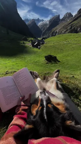 my favorite place⛰️🫀📖🌞 #traveldog#hikingwithdogs#wandern#backpacking#dogsoftiktok#travel#solotravel 