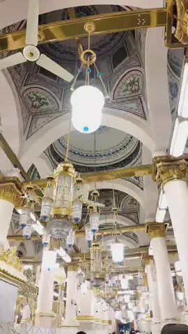 The Noble Shaykh walking around the beautiful Masjid an-Nabawi Sharif, and presenting salaams to the Holy Prophet ﷺ 💚💚 #deenoverdunya #madina #prophetmuhammad #masjidnabawi #islam #fyp 