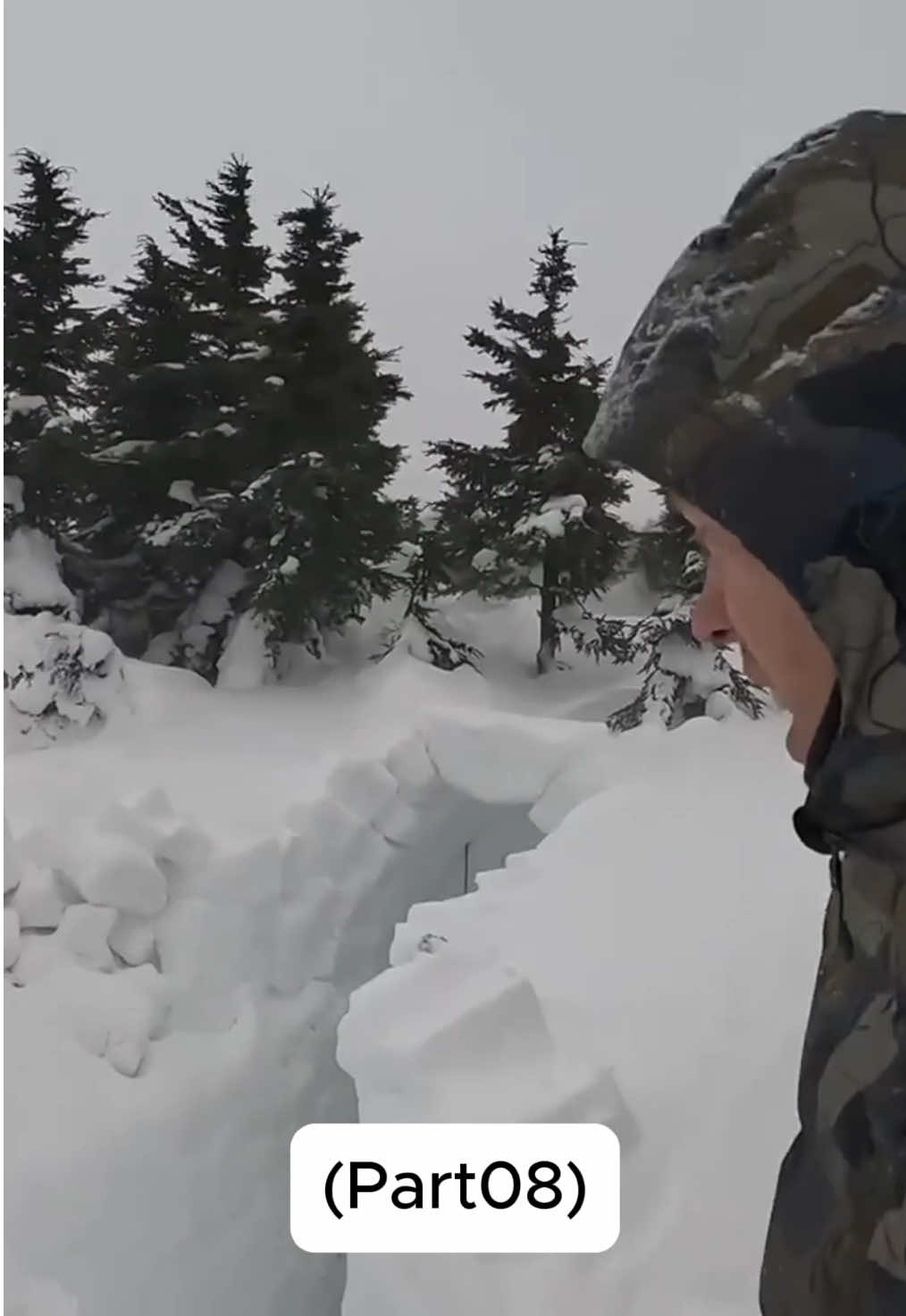 Enfrentando uma forte tempestade de neve, ele constrói uma cabana para se proteger, lidando com o medo e o cansaço enquanto a neve cai intensamente ao seu redor. Um verdadeiro teste de sobrevivência em meio à fúria do inverno! ❄️🌬️ Original Video: https://www.youtube.com/watch?v=G83NKJCd4VY&t=316s #snowstorm #wintercamping #survival #bushcraft #coldcamping #nature #outdoorlife #snowcamping #campingadventures #extremewinter #solocamping #campingvibes #outdoorsman #explore