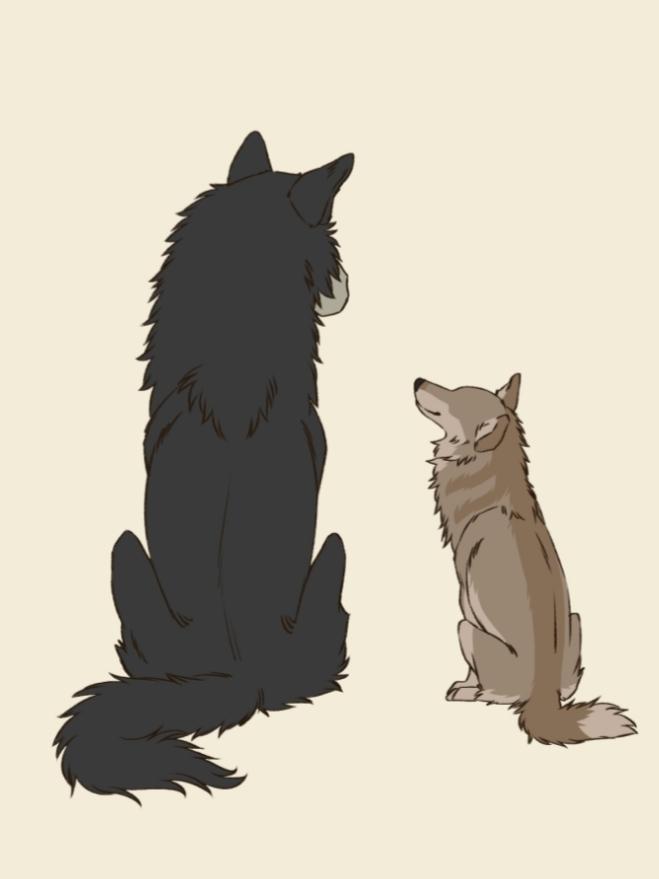 Yes, I know wolves can't see colors. In my last video, everyone called my characters 