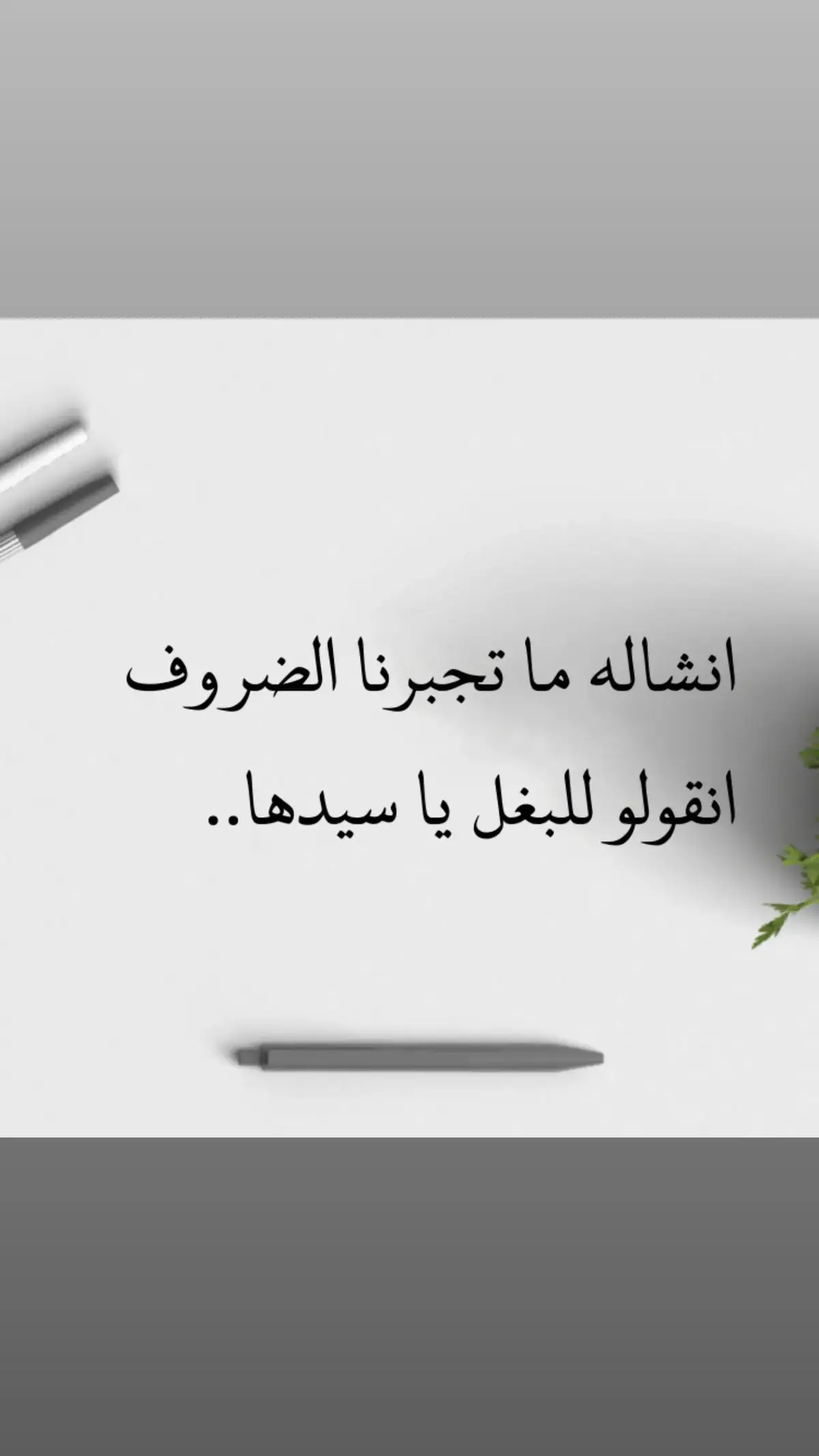 #استوريات_انستا_واتساب #تفعلتكم_ودعمكم♥ #لكي_نستمر_لتقديم_الأفضل❤🎩 #مشاهير_تيك_توك_مشاهير_العرب #شلخبار😉🥺 