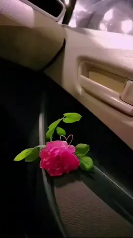 ##الدوحة🇶🇦 ##قطر 