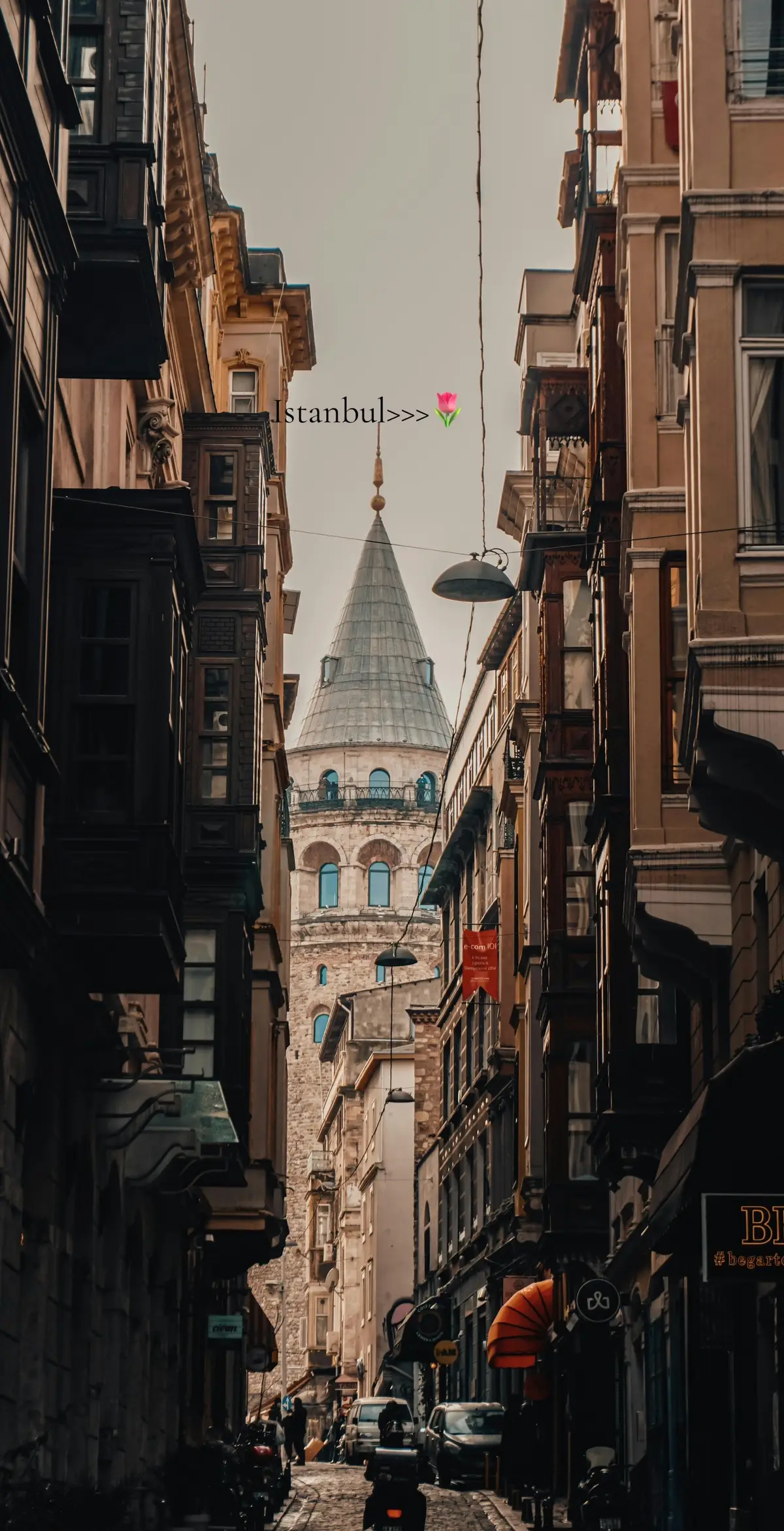 #tiktok #viral #istanbul #turkey #public #everyone #fypシ゚ 🇹🇷