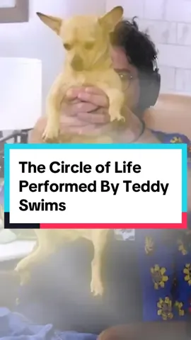 You can stream the full song by @Teddy Swims on the @rickglassman #teddyswims #rickglassman #takeyourshoesoffpod #lionking #mufasa #simba #circleoflife #lionkingedit #eltonjohn #fyp #4u #xyzbca 