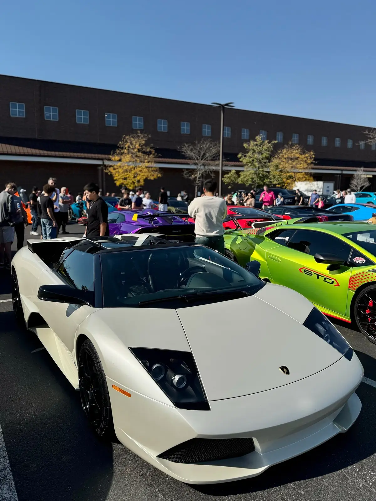 #murcielago #lp640roadster #murcielagolp640 #lamborghini #lamborghinimurcielago #cars #car #carsoftiktok #carmeet