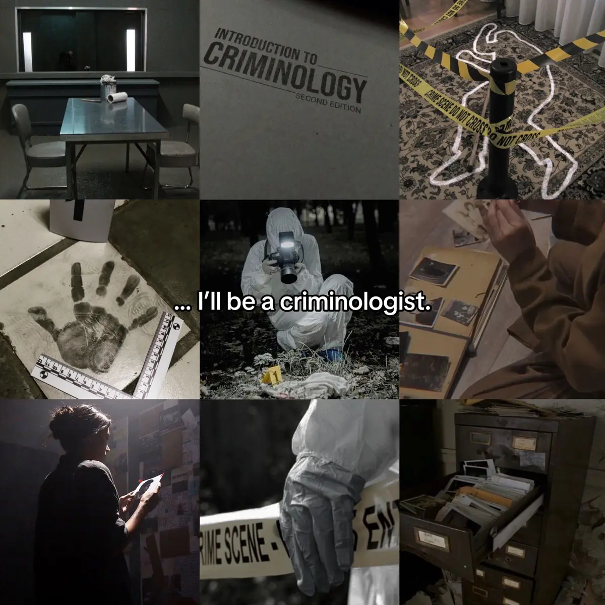 I’ll choose the path of being a journalist but becoming a criminologist will always be my lost passion #criminology #cases #truecrimetiktok #truecrime #aesthetic #inanotherlife #criminologist #pinterest #police #pinterestaesthetic #fyp 