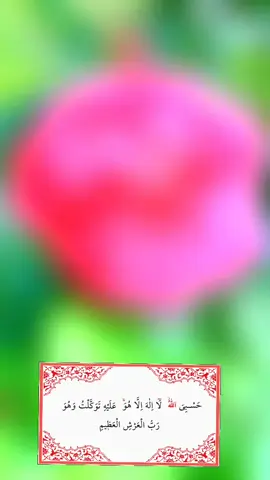 #للہ🍁🥀 #allah❤️ #goodmorning 