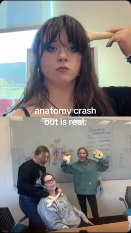 pov: its the skeletal system unti and you’ve got 2 days to memorize all 206 bones and processes, fissures, etc #college #anatomy #crashout #trenches