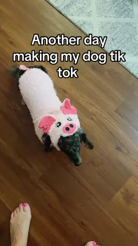 Livie the pig! #dogsofttiktok #fyp #peppapig #dogtok #PetsOfTikTok #dogmom #halloweencostume #dogcostume 