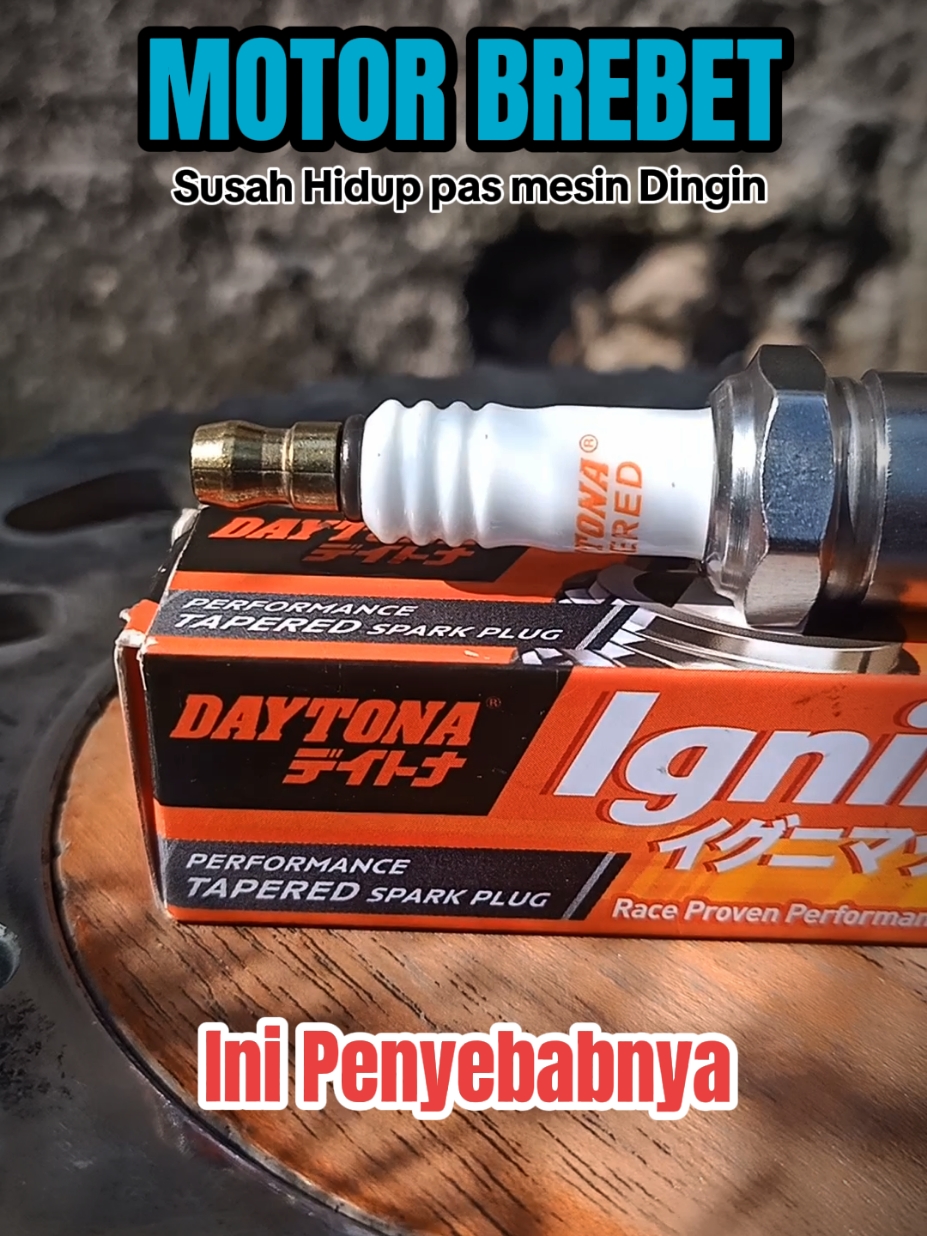 BUSI DAYTONA IGNIMAX #busidaytona #busidaytonaignimax #daytonacustom #hargabusidaytona #busilemahpenyebabmotormati 