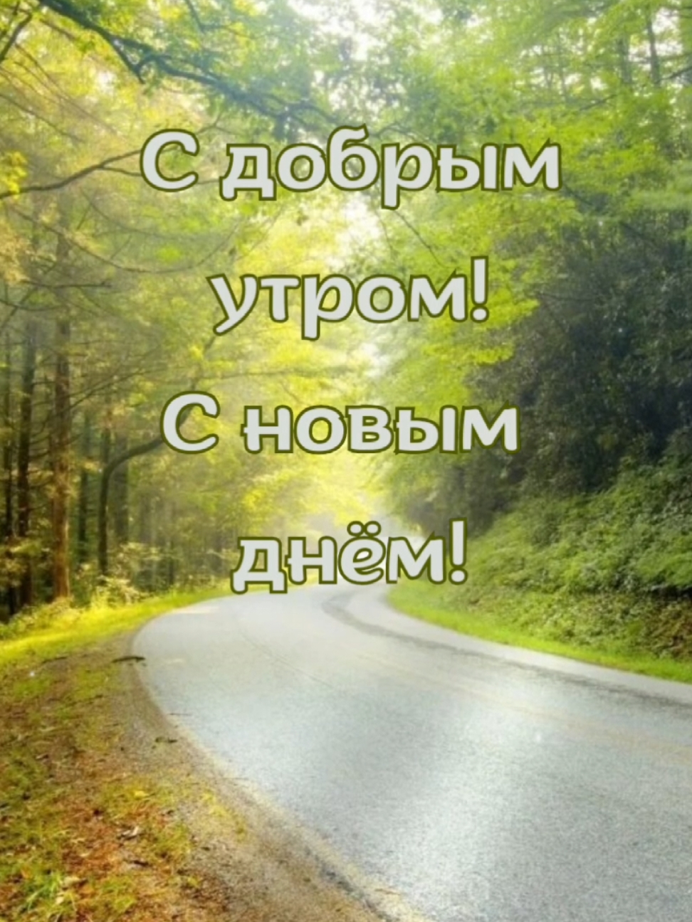 #сдобрымутром #2024 #свежее #новинки #доброеутро #свежие  #смыслжизнь 