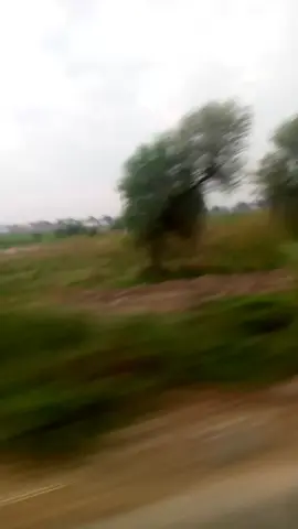 good by hasilpur