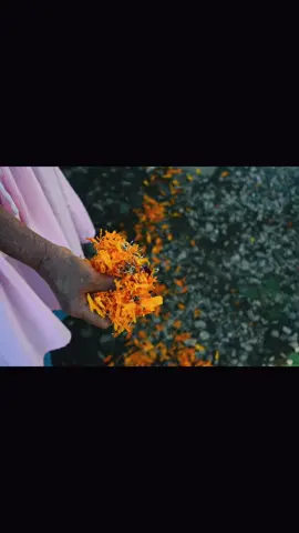 Ya casi se llega la fecha. 🌼💀🧡 #diademuertos #mexico🇲🇽 #tradicion #cultura #videoedit 